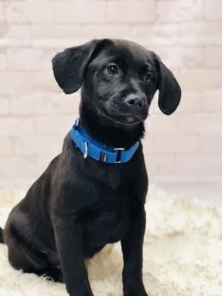 Jax